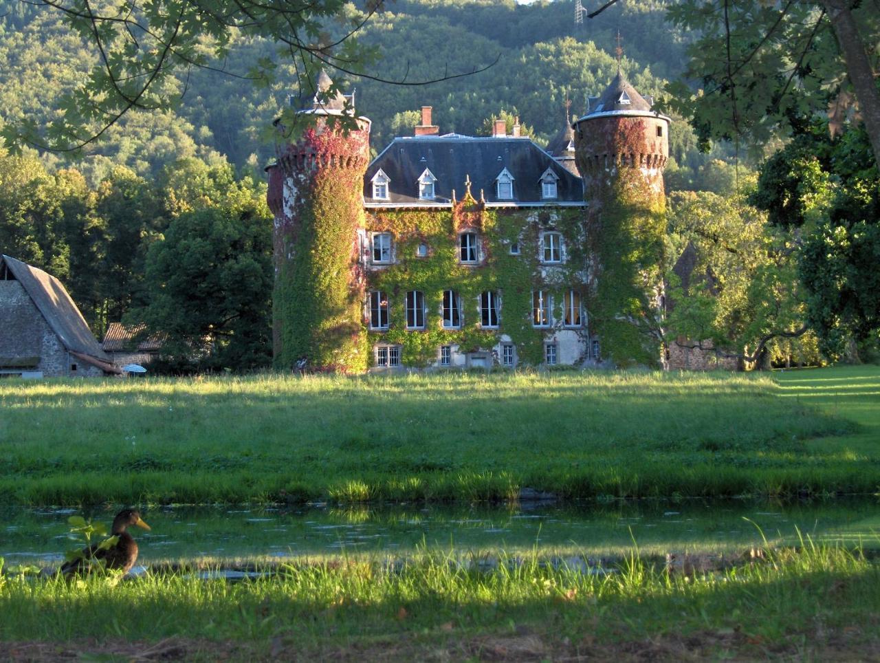 Chateau De Sedaiges Marmanhac Dış mekan fotoğraf
